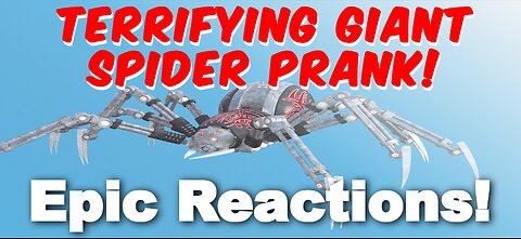 Terrifying Giant Spider Prank - Epic Reactions!