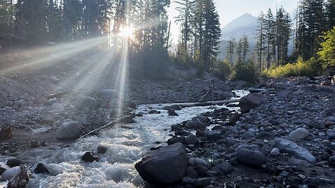 Getting Started @ Ramona Falls Trailhead to Sandy River - Tips & Hiking Strategies! | 4K | Oregon