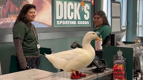 Duck’s Sporting Goods (pt.2)