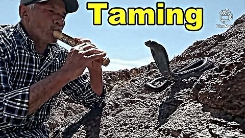 How to tame snakes in Morocco