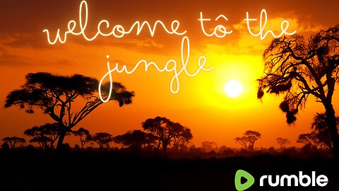 WELCOME TO THE JUNGLE