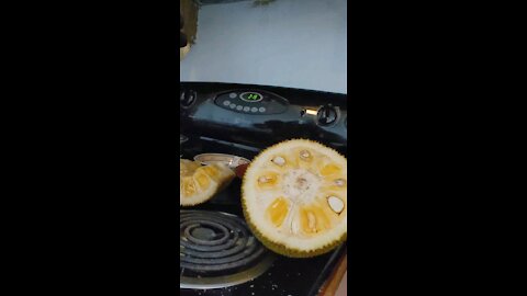 Jackfruit. Video 2