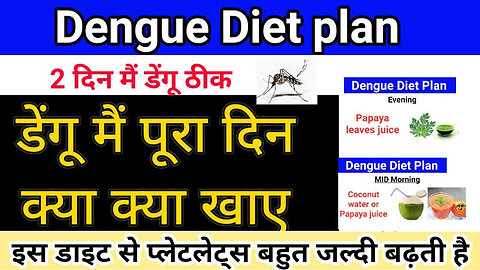 Dengue Diet plan || ड़ेंगू मैं ये डाइट लेने से प्लेटलेट्स बहुत जल्दी बढ़ती है