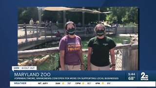 The Maryland Zoo says "We're Open Baltimore!"