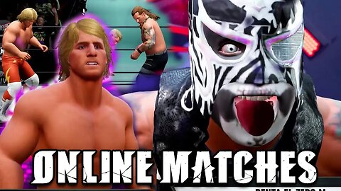Reversals Don't Work? AEW Fight Forever Online Matches on Nintendo Switch