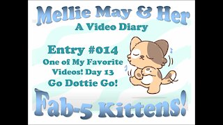 Video Diary Entry 014: Day 12, Part 2 Go Dottie Go! (One of my Favorite Videos)