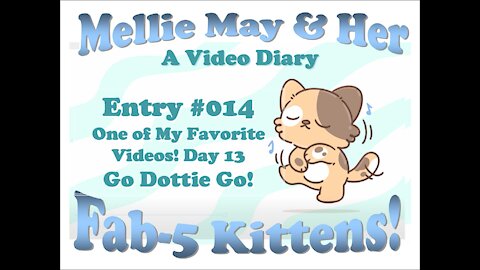 Video Diary Entry 014: Day 12, Part 2 Go Dottie Go! (One of my Favorite Videos)