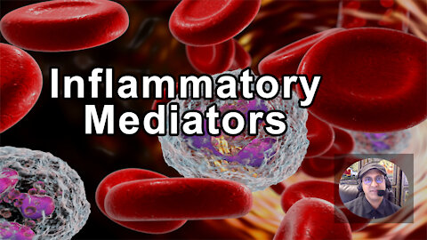 What Inflammatory Mediator Can Be Stopped Or Lowered To Prevent and Reverse Almost All Chronic
