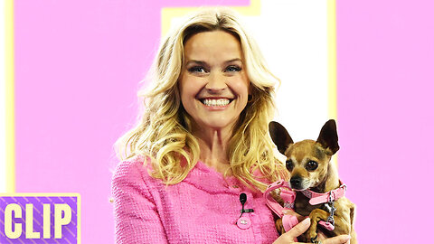 Legally Blonde is Getting a Prequel