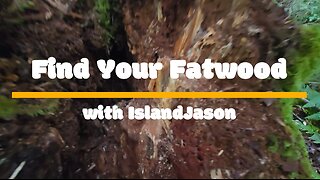 Find Your Fatwood with IslandJason