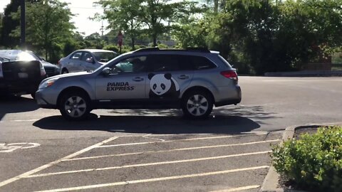 Is this the official transportation of the Panda Research Institute?