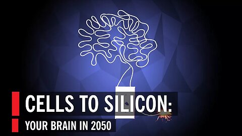 Cells To Silicon: Your Brain In 2050