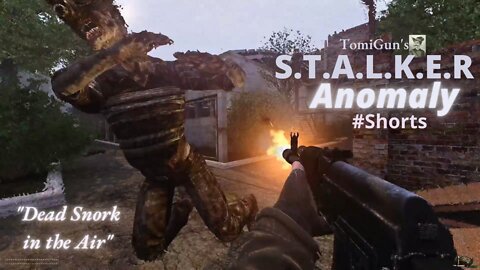 Dead Snork in the Air - S.T.A.L.K.E.R Anomaly Short Scene