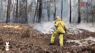 Ep 271 Aussie Firefighters Battle Historic Blazes