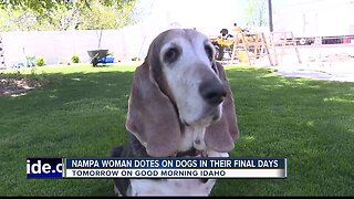 Nampa woman dotes on dogs in their final days