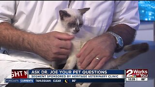 Ask Dr. Joe: Meet Susanne