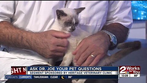 Ask Dr. Joe: Meet Susanne