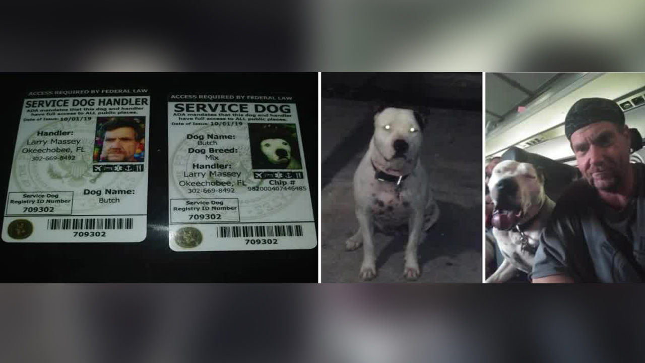 Service dog shot, killed by Okeechobee police