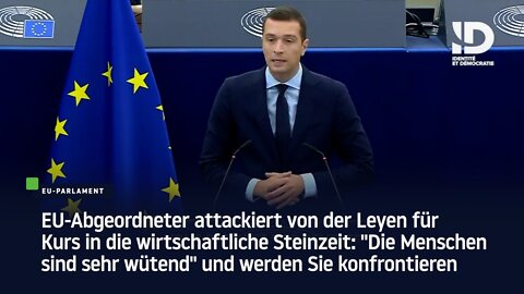 EU-Abgeordneter attackiert von der Leyen für Kurs in die wirtschaftliche Steinzeit