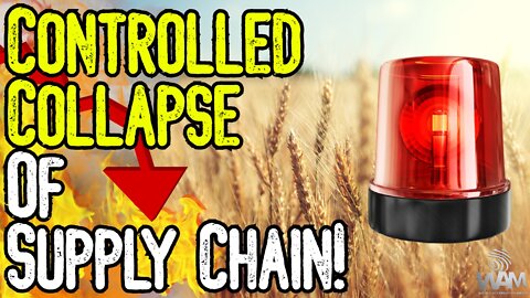 SHOCKING: Farmers DESPERATE As Supply Chain COLLAPSES! - This Is An EMERGENCY! - Prepare NOW!