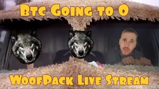 Woof Pack Very 9TH live-Stream!