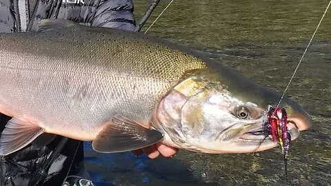 TWITCHING JIG SEASON! Tips, Tricks, & Tactics For Catching Salmon With Jigs.