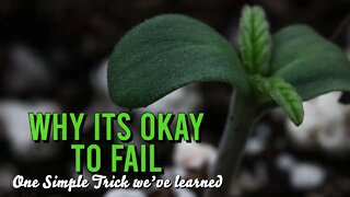 Why It's Okay To Fail (Double Grape Germination Pt.2)