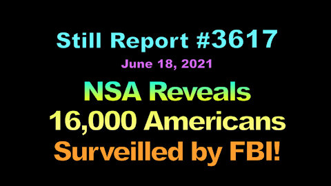 NSA Reveals 16,000 Americans Surveilled by FBI, 3617
