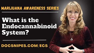 What is the Endocannabinoid System | Marijuana Awareness Series