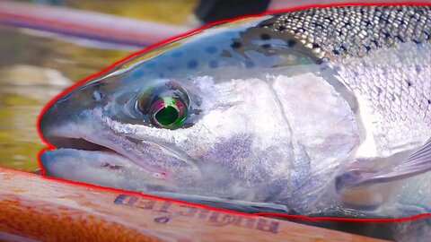 We Made ONE Change & FINALLY Caught The STEELHEAD!!