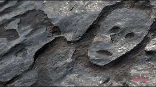 Ancient rock carvings revealed by receding Amazon waters amid drought