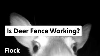 FENCE & GATE Strategies to Keep DEER OUT for Good! — Ep. 078