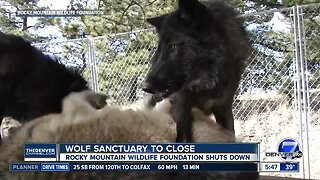 Wolf sanctuary to close
