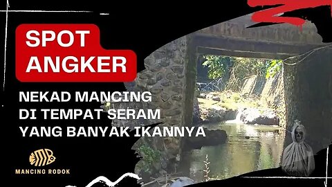 JANGAN DICOBA !! Nekad mancing di Spot Bawah Jembatan Angker YANG BANYAK IKANNYA pasti ini Sarangnya