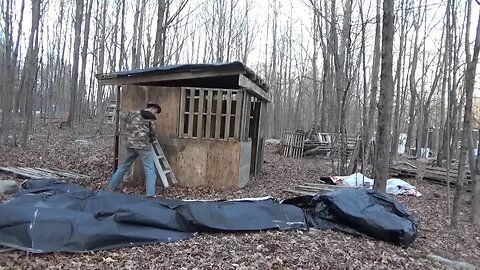 Putting Free Tarps On My Pallet Wood Shed