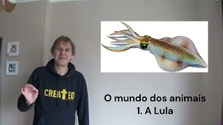 O Mundo dos Animais 1 A Lula