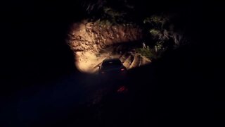 DiRT Rally 2 - RallyHOLiC 11 - New Zealand Event - Stage 4 Replay