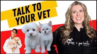 How To Approach Your Vet About Over Vaccination