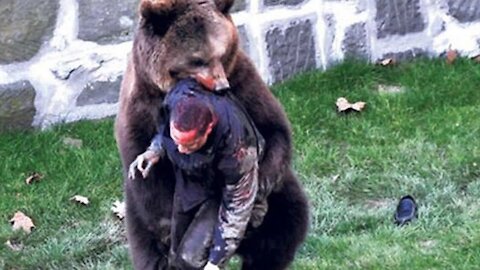 ●UNBELIEVABLE Bear Attacks & Interactions 《》CAUGHT ON CAMERA!♡