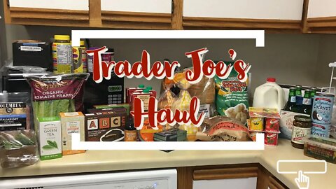Trader Joe's Grocery Haul!