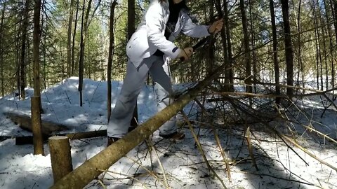 Solo Winter Bushcraft: Overnight in an Elevated Shelter-9