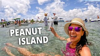 Sandbar Party & Snorkeling by Boat! 🐠 PEANUT ISLAND (part 2)