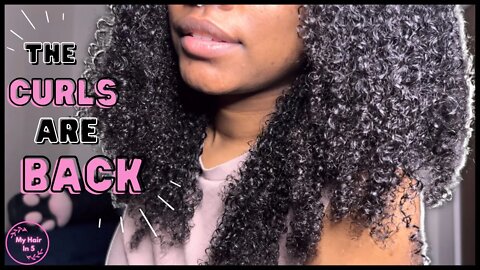 My Curls Are BACK! | My Hair In 5