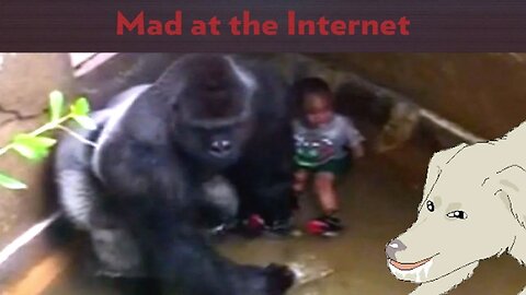 Harambe - Mad at the Internet