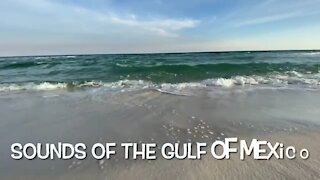 Sounds of the Gulf of Mexico