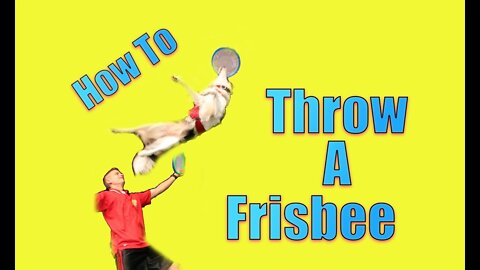 A Revolutionary Way to Throw a Frisbee to your Dog