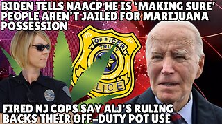 President Biden Makes Bold Claims Regarding MJ Possession Charges, Cannabis Capital Down 40%