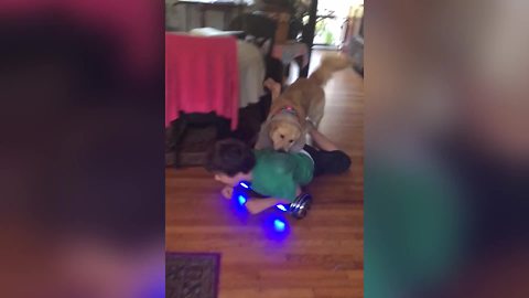 Kid On A Hoverboard And Dog With A Neck Cone Have A Blast