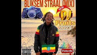 💫BLIKSEMSTRAAL MEGA MIX FULL MIXTAPE BY DJ FRUITS 2023 ✔