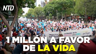 Más de 1 millón de mexicanos marchan a favor de la vida | NTD Noticias
